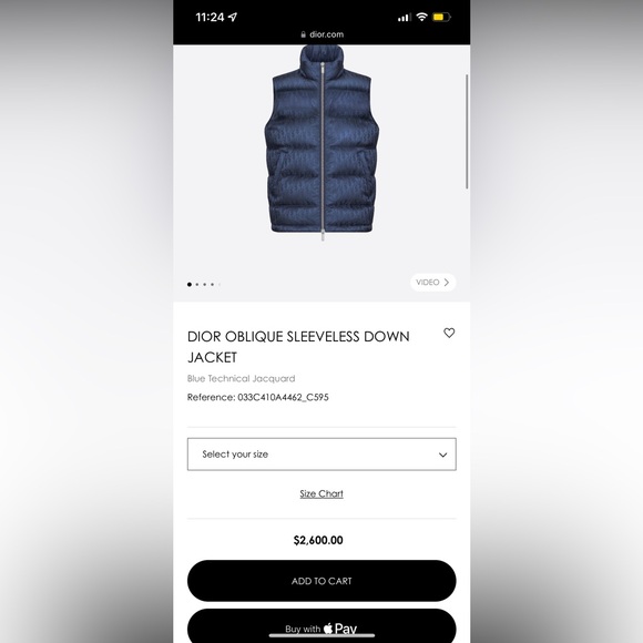 DIOR OBLIQUE SLEEVELESS DOWN
JACKET VEST - Picture 5 of 5